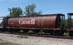 CP 608552 (1)